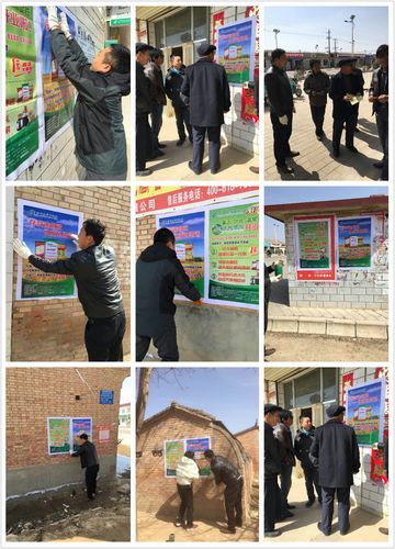 庆阳市西峰区分公司春季化肥销售经验介绍
