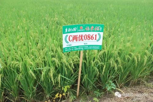 国内外耕地培肥的技术对比